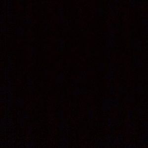 Meet your Posher, Sammy