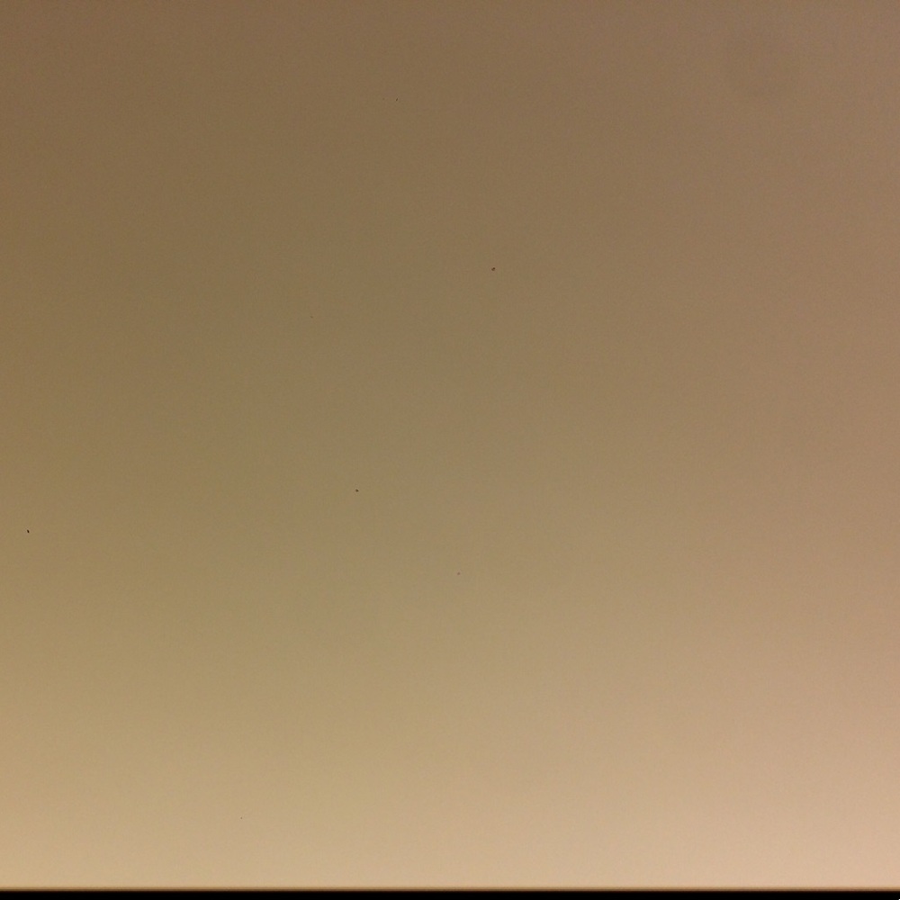 Meet your Posher, Cooper