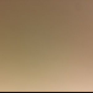 Meet your Posher, Cooper