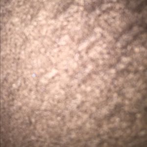 Meet your Posher, Bryce