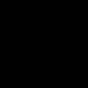 Meet your Posher, Diamond