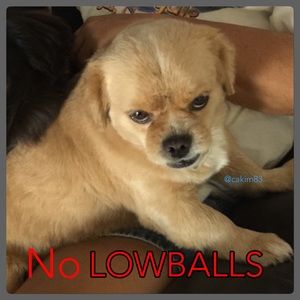 Please be respectful 👌🏼