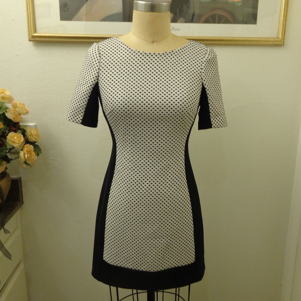 BCBG Paris " Sophia" Polka Dot Short Sleeve  Dress