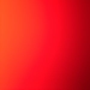 Meet your Posher, Maddie