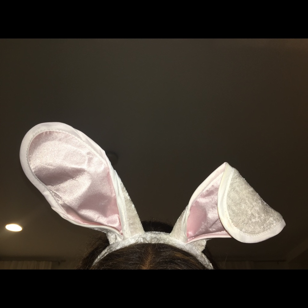 Costume Bunny Ears