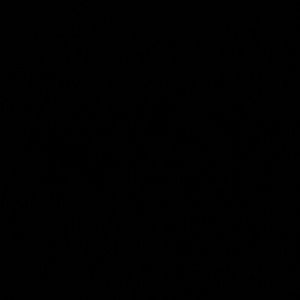 Meet your Posher, Javier