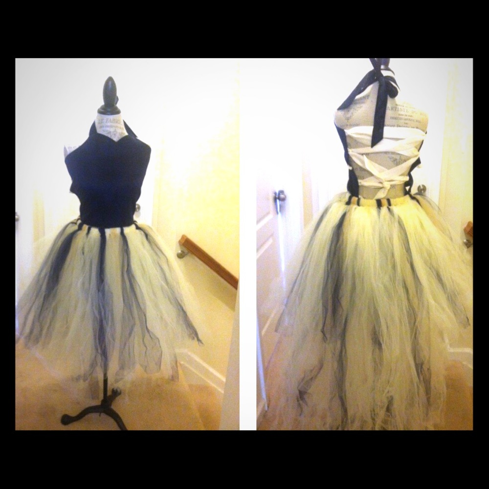 Tutu skirt/dress