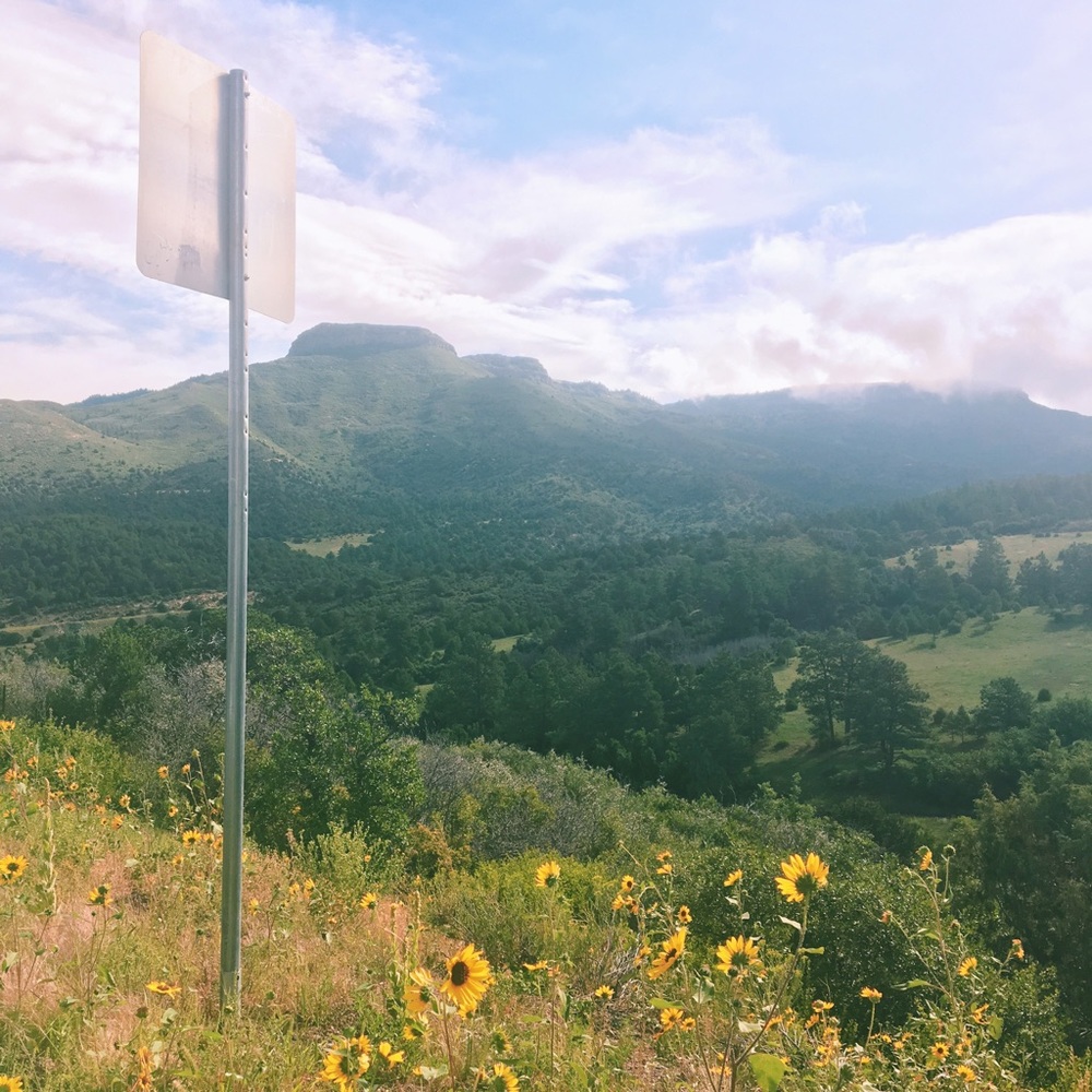 Meet your Posher, Allen