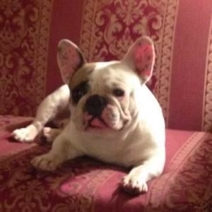 Meet your Posher, Shelly