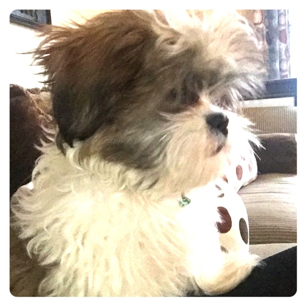 Me waiting for offers! Lol