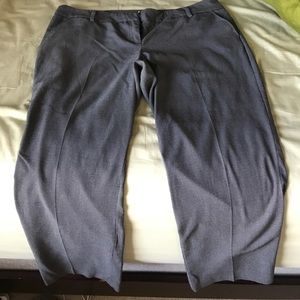 Size 16 Petite NY&Co Woman's Pants