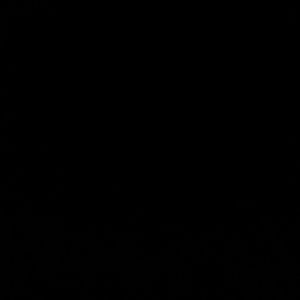 Meet your Posher, Gabe