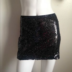 Express Skirt