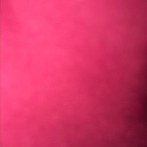 Meet your Posher, Dylan