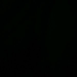 Meet your Posher, Mauricio