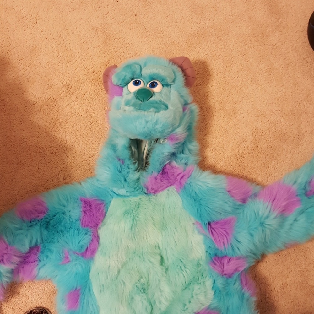 Sully Halloween costume
