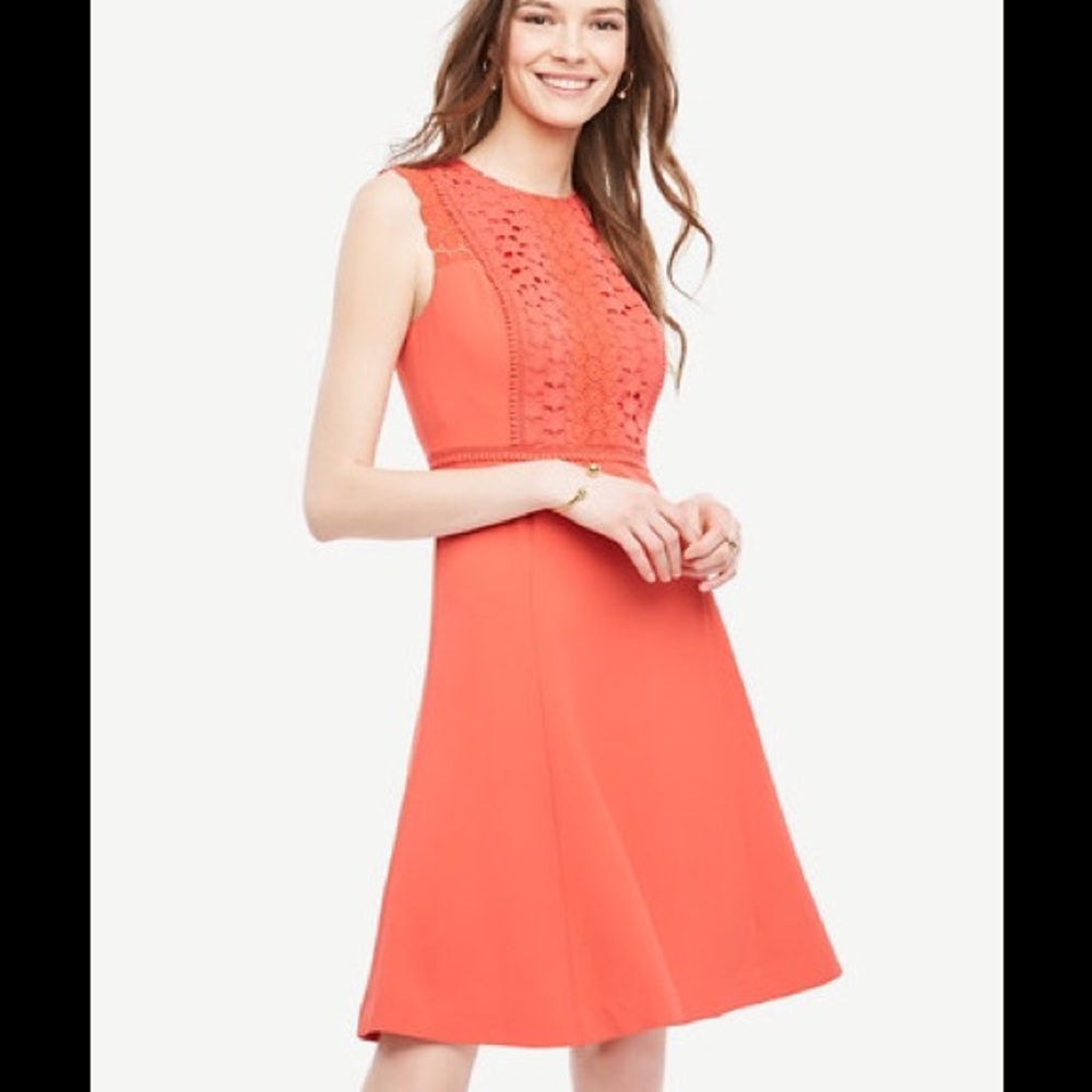 Ann Taylor lace trim flare dress