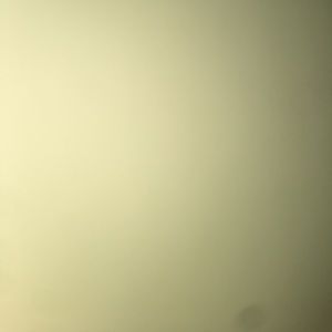 Meet your Posher, Nelly