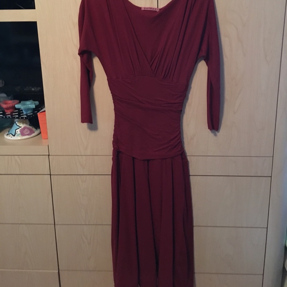 Velvet brand dress