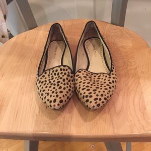 Cheetah print flats