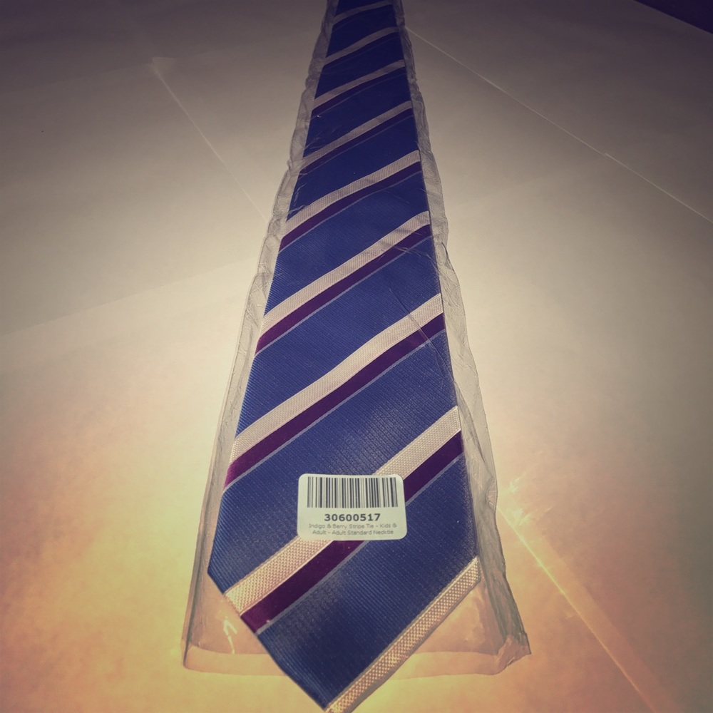 Indigo & Berry Striped Tie