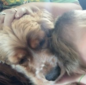 Meet your Posher, Karie