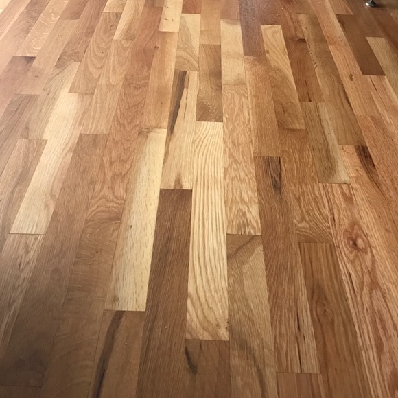 Meet your Posher, Kari - Picture 2 of 2