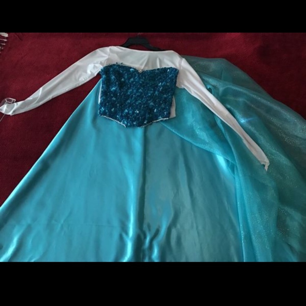 Beautifully handmade Elsa Costume