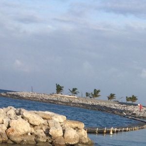 Meet your Posher, Daniah