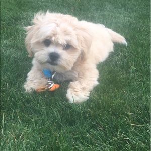 Meet your Posher, Connor