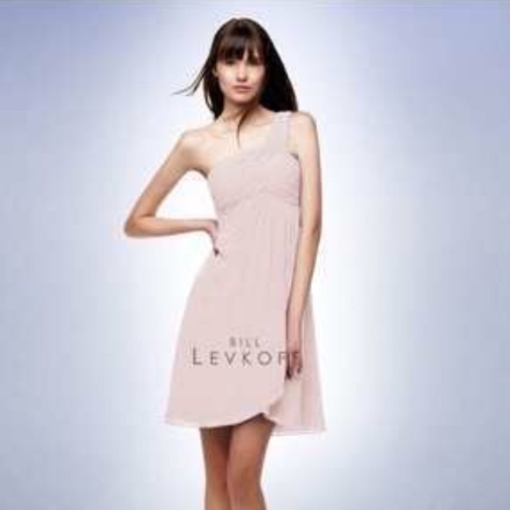 Light blush bridesmaid dress