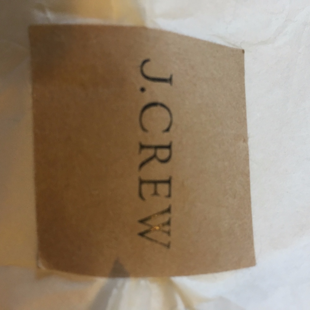 NWT J.Crew Creme Dress, Black Lace, Size 8P - Picture 6 of 7