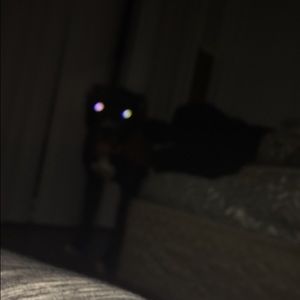 Meet your Posher, Loni