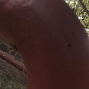 Meet your Posher, Seth