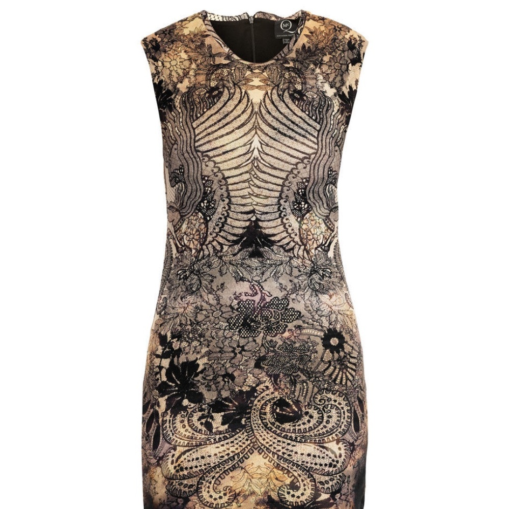 Alexander McQueen Griffon Lace Dress