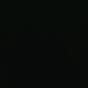 Meet your Posher, Monique