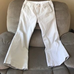 Garnet hill pants