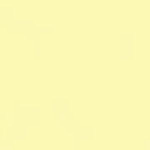 Meet your Posher, Lizbeth