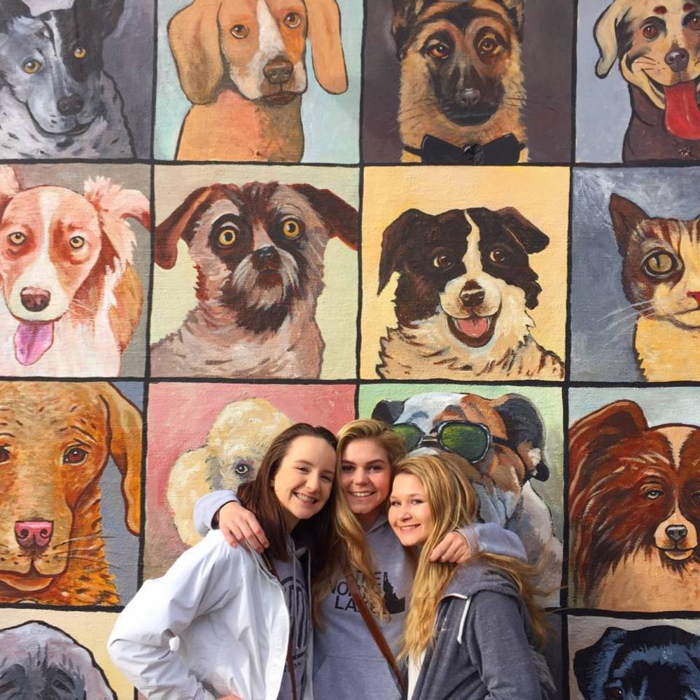 Meet your Posher, Taylor