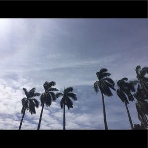 Meet your Posher, Maya