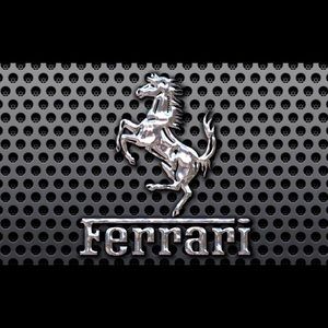 Meet your Posher, Shelton