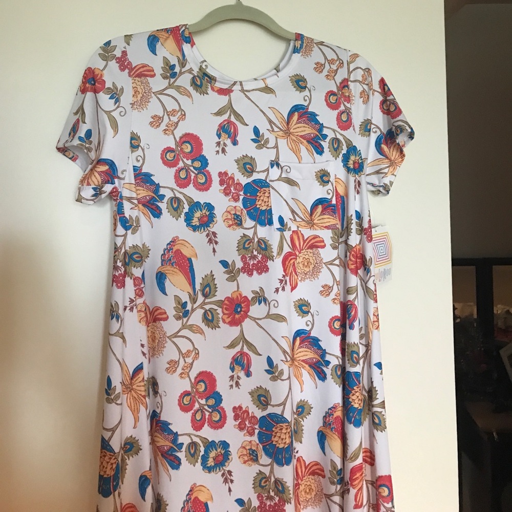 Small LuLaRoe Carly - NWT!