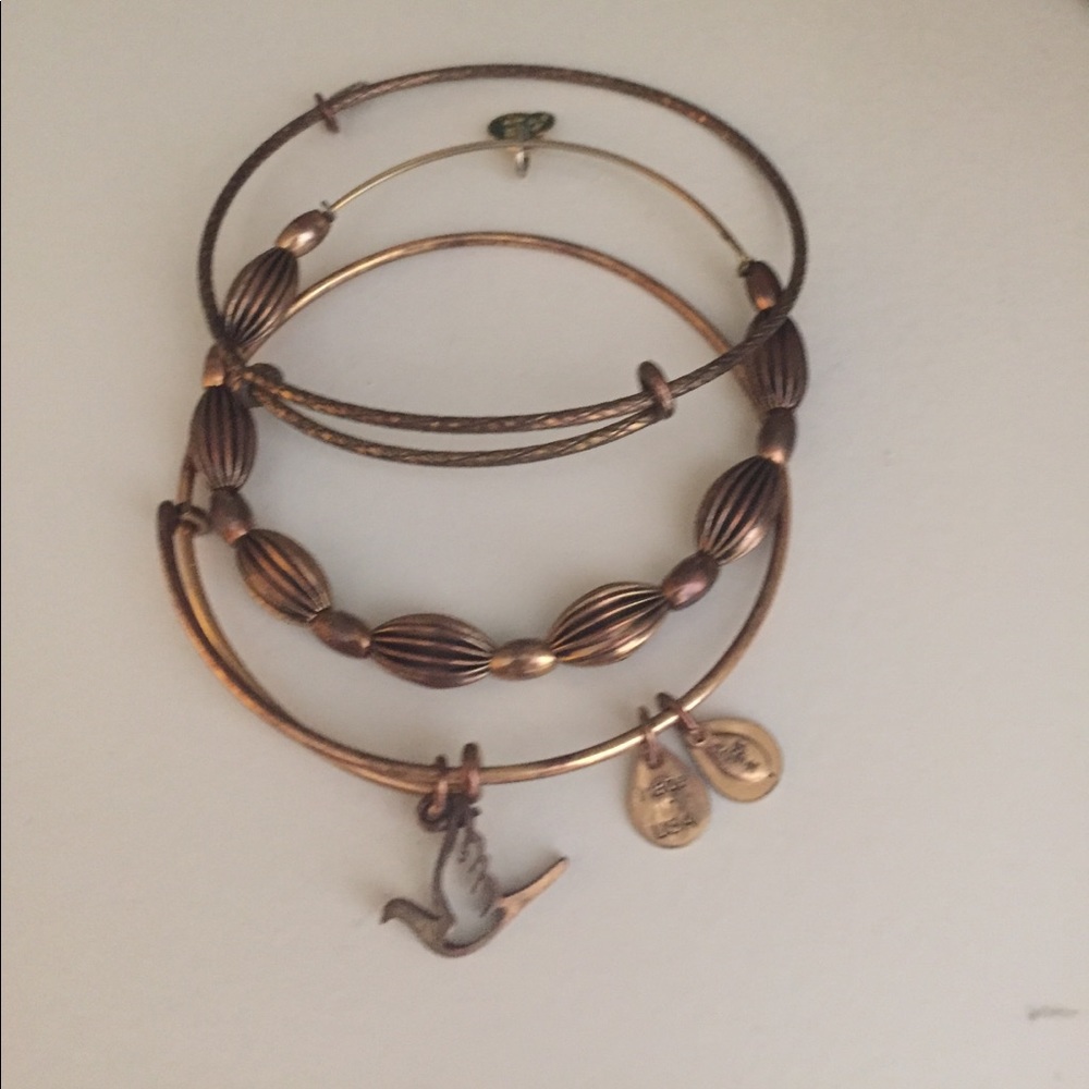 Alex and Ani starter kit!
