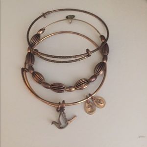 Alex and Ani starter kit!