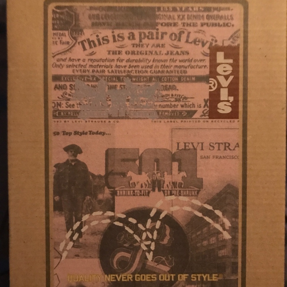 A pair of Levi denim shoes