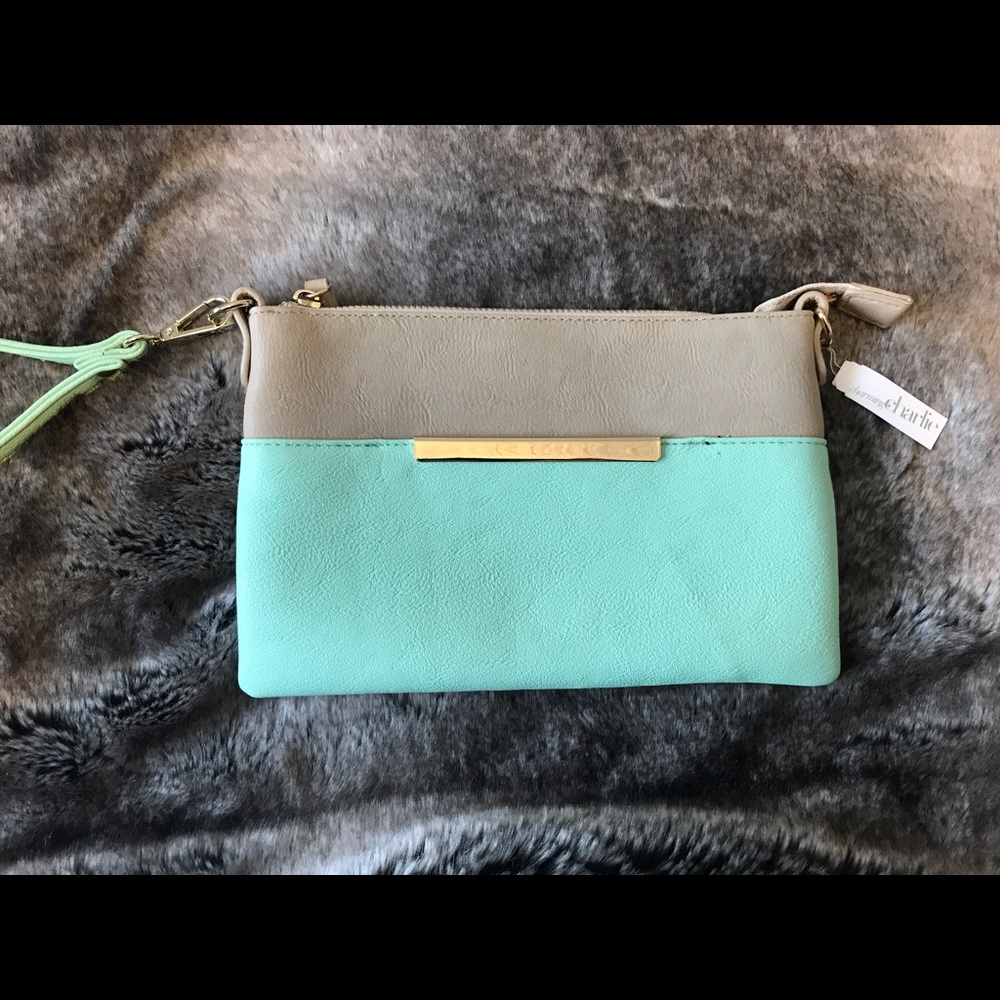 Tan and Green Clutch
