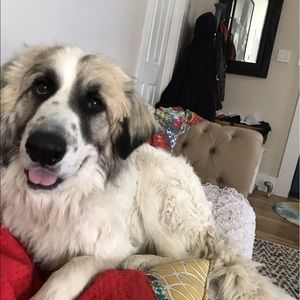 Meet your Posher, Andrea