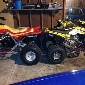 Meet your Posher, Eddie