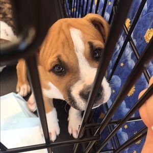 Meet your Posher, Mari