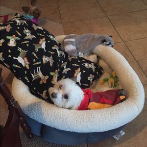 Meet your Posher, Bella